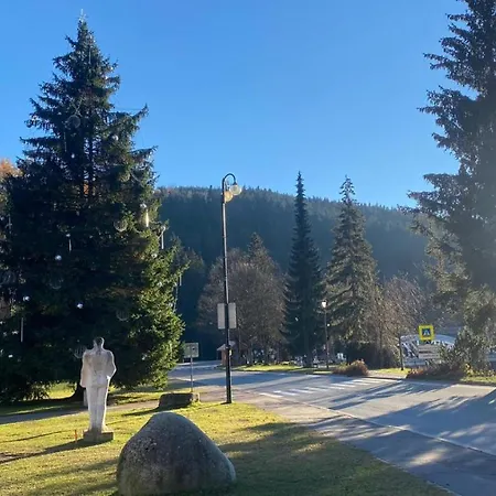 Medvědín 110 Apartamento *