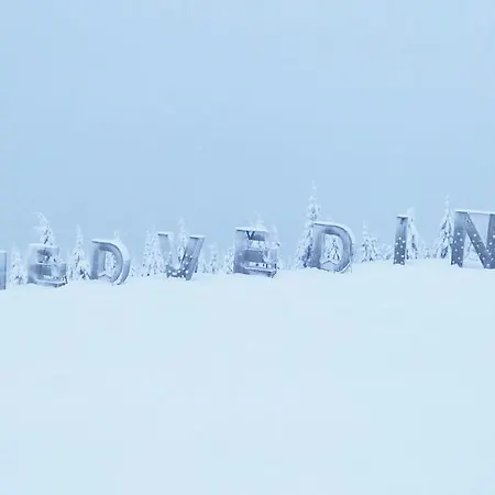 Medvedin 110