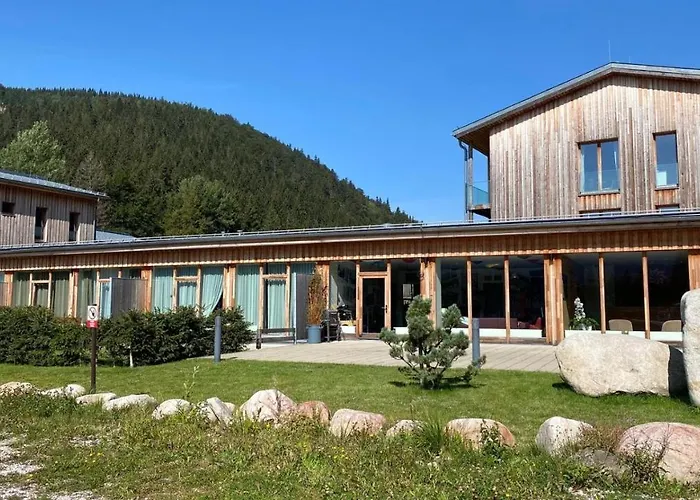 Medvedin 110 * Špindlerŭv Mlýn