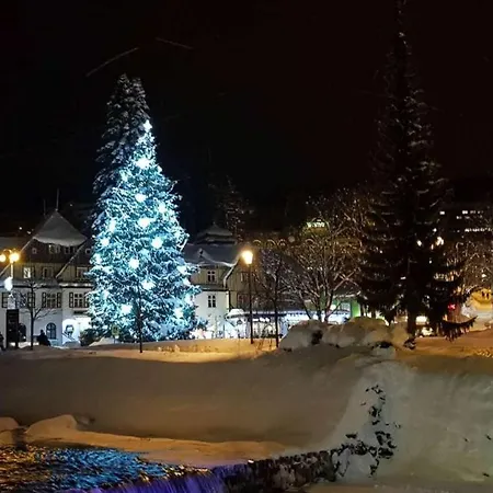Medvedin 110 * Szpindlerowy Młyn