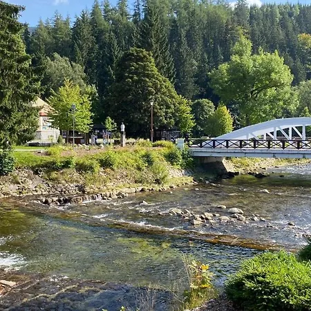 Medvedin 110 Spindleruv Mlyn
