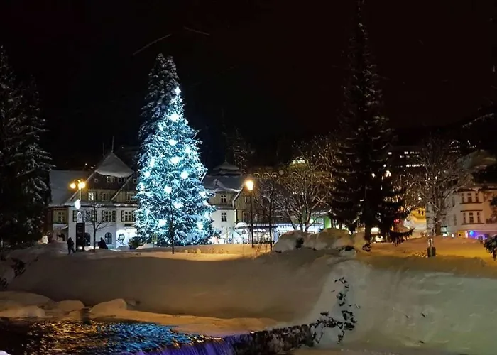 Medvedin 110 * Špindlerŭv Mlýn