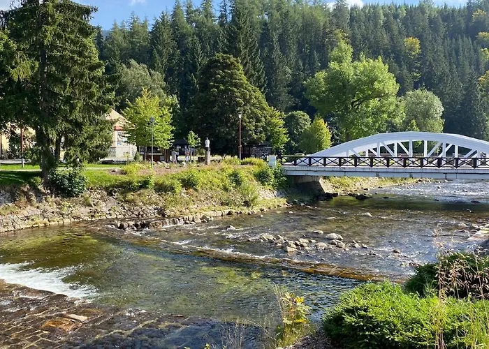 Medvedin 110 Špindlerŭv Mlýn