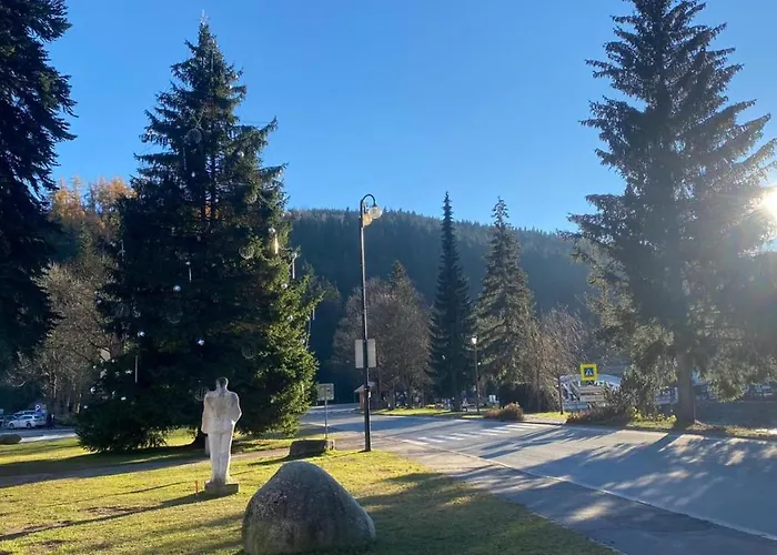 Medvedin 110 דירה *